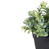 Northlight 10" Green Artificial Melia Azedarach Plant in Black Pot - image 4 of 4