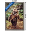 Trends International Star Wars: Return of the Jedi - Wicket W. Warrick Framed Wall Poster Prints - 3 of 4