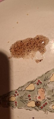 Guest review image 1 of 2, zoom in