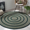 Braided BRD401 Hand Woven Area Rug  - Safavieh - 2 of 3