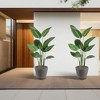 Kozyard Planter Indoor Outdoor Plant Pots with Tray Collecting Water for Tall Plants, Flowers - 4 of 4