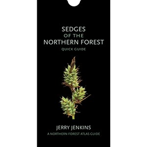 Sedges of the Northern Forest - (Northern Forest Atlas Guides) by Jerry Jenkins - 1 of 1