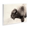Stupell Industries Shaggy Buffalo Rustic Portrait Vintage Sepia Tone Photography Wall Plaque Art - 3 of 4