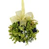 Ganz 5.0 Inch Mistletoe Door Decor Kissball Kissing Krystals Twilight Sapphire Decorative Orbs - 2 of 3