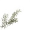Vickerman Flocked Kiana Artificial Christmas Wreath - 4 of 4