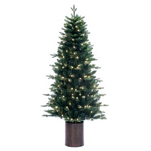 Vickerman 6'x39" Potted Spruce Artificial Full Pre-lit Christmas Tree - 1 of 4