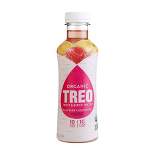 Treo Organic Fruit & Birch Raspberry Lemonade Water - 16 fl oz Bottle