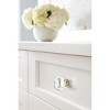Amerock Glacio Square Cabinet or Furniture Knob - 2 of 4