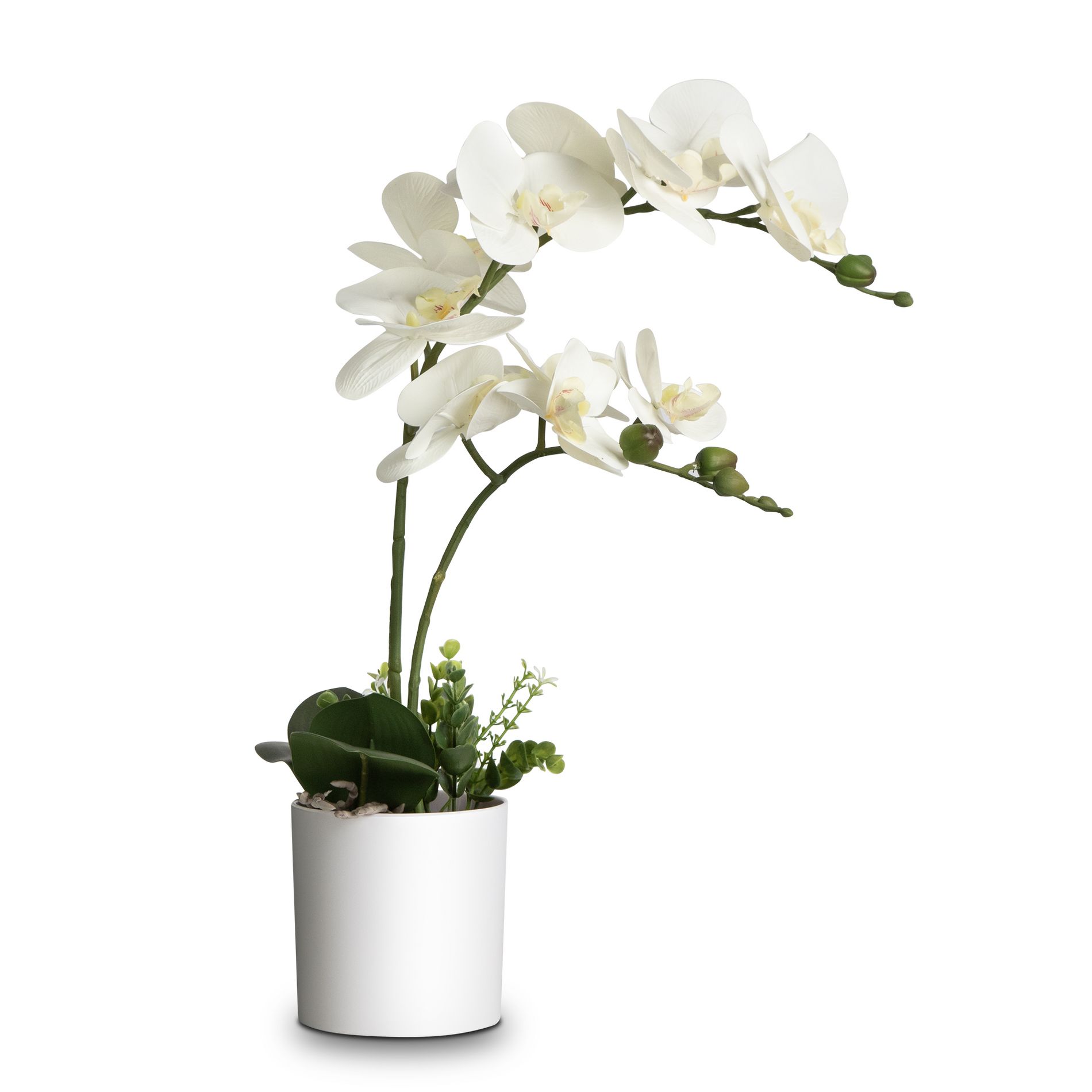 Silk Orchid Arrangement In Pot