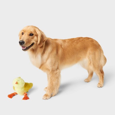 7.5&#34; Chick with Rope Dog Plush Toy - Boots &#38; Barkley&#8482;