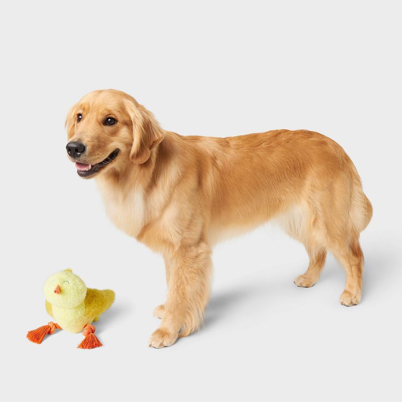 7.5&#34; Chick with Rope Dog Plush Toy - Boots &#38; Barkley&#8482;, 2 of 4