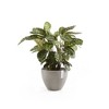 Ecopots Antwerp Durable Modern Round Indoor/Outdoor Recycled-Based Composite Flower Pot Planter - 4 of 4