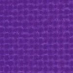 orlando city soccer club