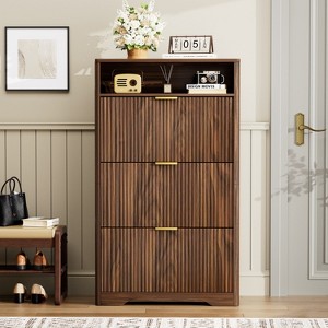 GDFStudio Ismara Rustic Shoe Cabinet Storage with Flip Drawers - 1 of 4