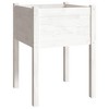vidaXL Garden Planter White 50x50x70 cm Solid Pinewood - 2 of 4