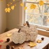 BRINJOY 2-Piece Beige Woven Cattail Pumpkin Set - Handmade Fall Decorations, Farmhouse Table Centerpiece for Indoors, Mantel, Dining Table, Porch - 4 of 4
