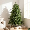 KWPZQEB Pre-lit Artificial Christmas Tree, Prelighted Xmas Tree with Tips & Warm White Lights, Hinged Branches, Realistic Holiday Décor - 2 of 4