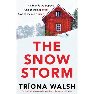 The Snowstorm - By Tríona Walsh (paperback) : Target