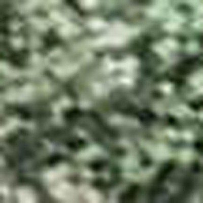 HomeRoots 5' X 8' Fern Green And Beige Abstract Washable Indoor Outdoor Area Rug