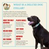 Country Brook Petz HossFit Jr Wide Deluxe Dog Collar - Geek Chic Collection - 2 of 4