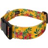 Country Brook Petz HossFit Jr Wide Deluxe Dog Collar - Summer Breeze Collection - 2 of 4