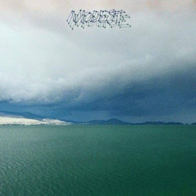 Modest Mouse - The Fruit That Ate Itself (LP) (Vinyl)