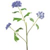 Northlight Queen Anne's Lace Artificial Spray - 30" - Blue - 3 of 4