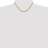 Black Bow Jewelry 4mm 10k Yellow Gold Diamond-Cut Solid Rope Chain Necklace - 2 of 4