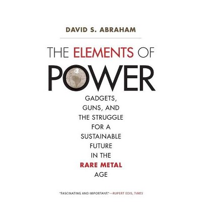 The Elements of Power - by  David S Abraham (Paperback)