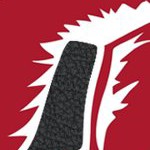 tampa bay buccaneers