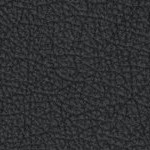 tampa bay buccaneers