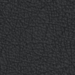 tampa bay buccaneers