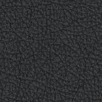 tampa bay buccaneers