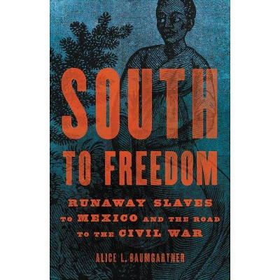 South to Freedom - by  Alice L Baumgartner (Hardcover)