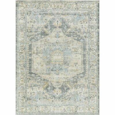 Hauteloom Rectangle Area Rug   Gray
