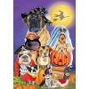 Briarwood Lane Trick or Treat Dogs Halloween House Flag Cats Jack o'Lantern 28" x 40" - image 3 of 3