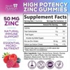 Zinc Supplement 50mg Gummies for Adults - Max Strength Skin Health & Immune Support Gummy, Vegan, Non-GMO & Gluten Free - 60 Gummies - 2 of 4