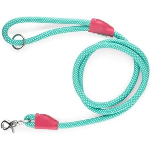 ZippyPaws Mod Essential Dog Leash, Durable Rope Leash with Leather Accents, 5 Ft Long, Teal - 1 of 1