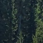 fencepost brown