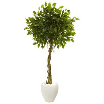5.5ft Ficus Artificial Tree In White Oval Planter - Nearly Natural