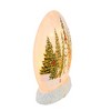 Stony Creek 7.0 Inch Forest Snowman Pre-Lit Round Orb Christmas Lighted Glass Accent , Christmas Decor Cardinal Winter Scene (1PC) - 4 of 4