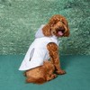 Doggie Design Weekender Dog Sweatshirt Hoodie - White - 2 of 3