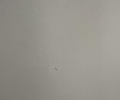 Guest review image 6 of 6, zoom in
