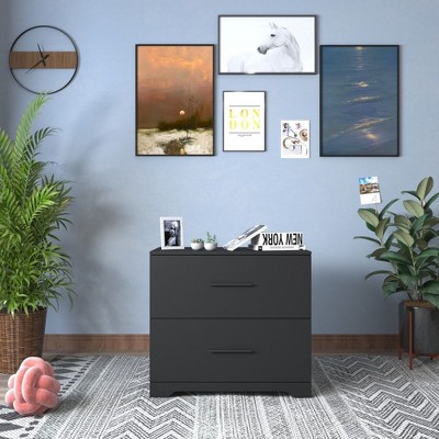 Lateral File Cabinet With 2 Filling Drawers, Functional Accent Chest, Large Deep Drawer Document Storage For Home Office
