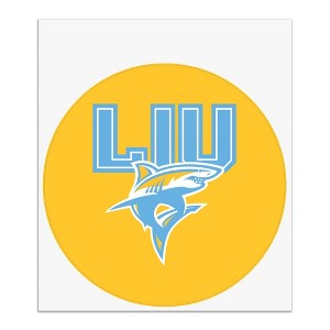 Long Island University Secondary Logo Automotive Car Window Locker Circle Bumper Sticker - 1 of 4