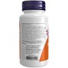 Turmeric and Bromelain by Now Foods  -  90 VegCap - 3 of 3