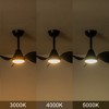 C Cattleya 24 in. Color Changing 3000K/4000K/5000K LED Black Indoor Ceiling Fan with Light Kit and Remote Control - 4 of 4