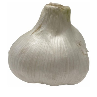 Morel Distribution Co | Elephant Garlic (Ajo Elefante) Sorted Bulbs! Great for Fall Planting! 5 Lb
