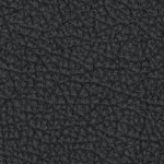 jacksonville jaguars