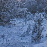 black + steel + shifter lever with gear indicator